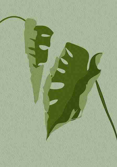 80个理由让你选择糖心vlog电脑版，创作玩法：超全解析