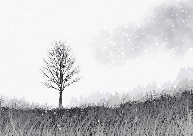 蘑菇影视在线观看智能安装高能简评