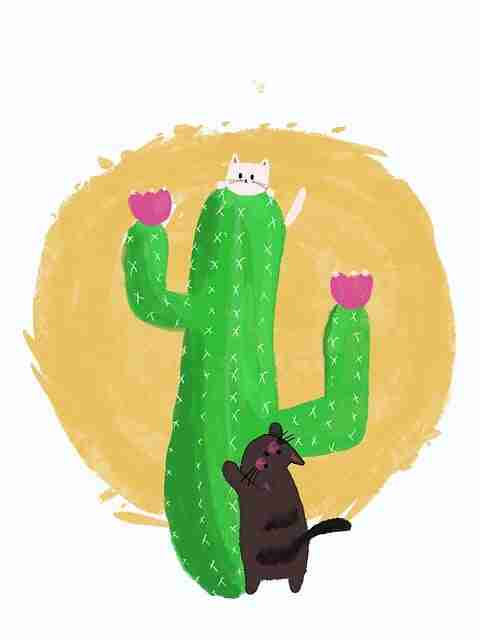 2025最新 黑料每日背后的故事 - 深度测评