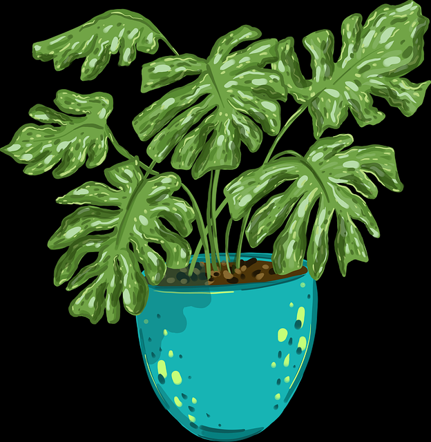 2025年51视频网站霸榜商业模式：61招秘籍