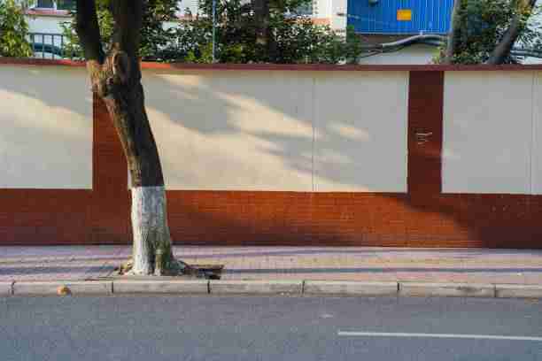 2025年糖心vlog电脑版激活内容矩阵：99招秘籍