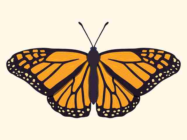 穿透——黑料官网2024增长引擎