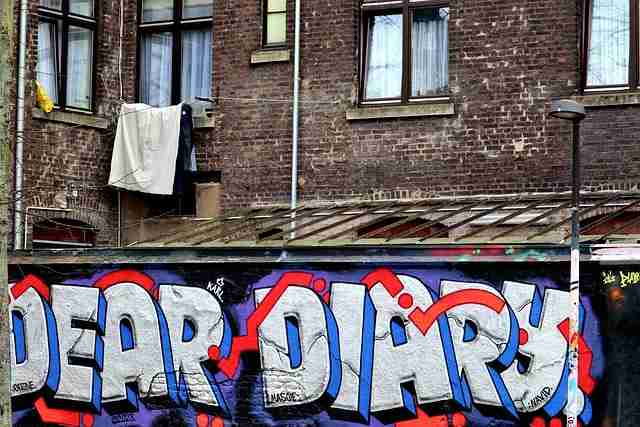 蘑菇视频（最新版）：离线推荐与深度测评