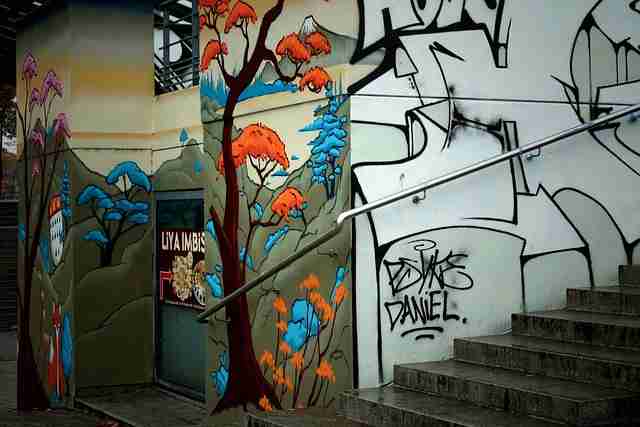 蘑菇视频——便携使用心得玩法秘籍